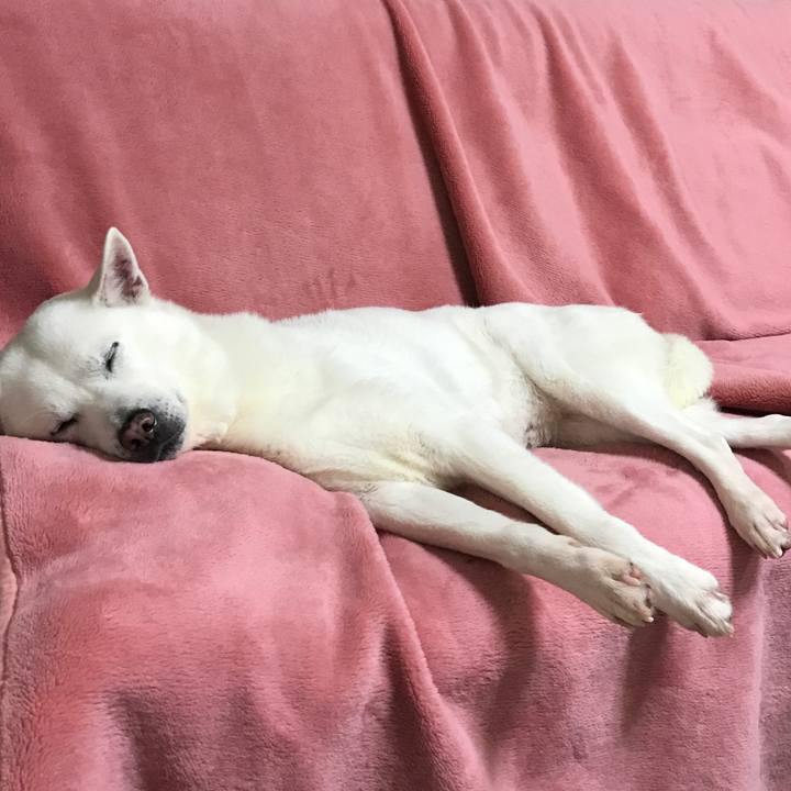 5efaf40b c5de 4b42 9e67 9db6b7183ef7