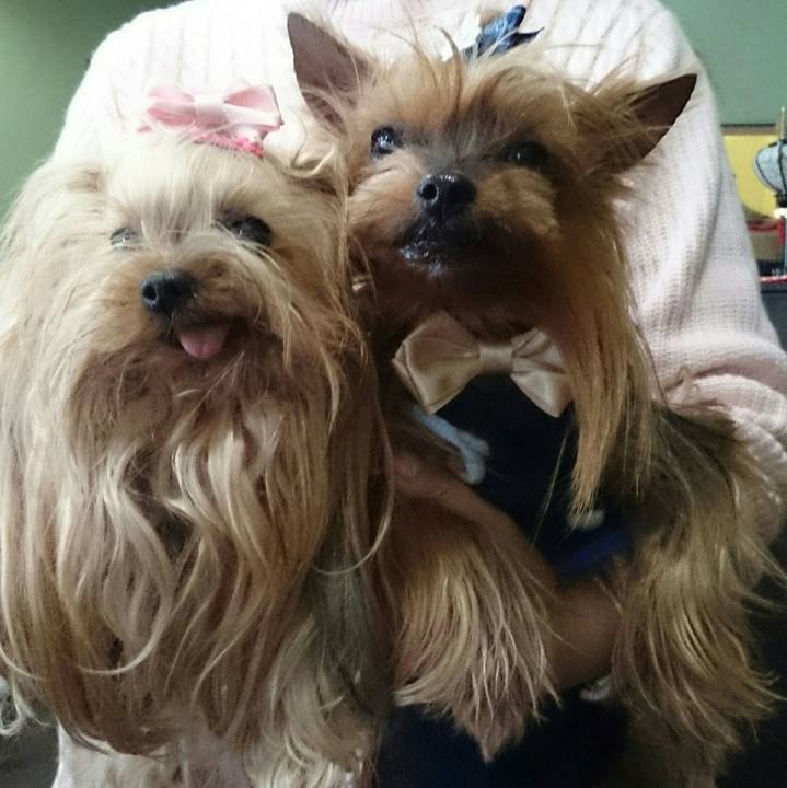 5efb5509 369b 4ef6 ad1c 6c2c1d24e1b8