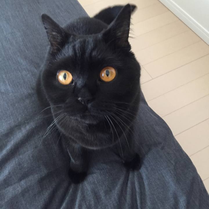 5efb7d3c 4733 4564 9bf8 fc2eac8cdf89