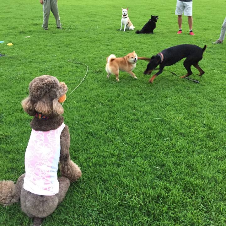 5efbdc27 0987 4e33 b166 b3104df5fb6c