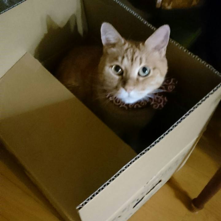 5efbfae5 4bec 4b0a a3c6 bc2b1ec39b32