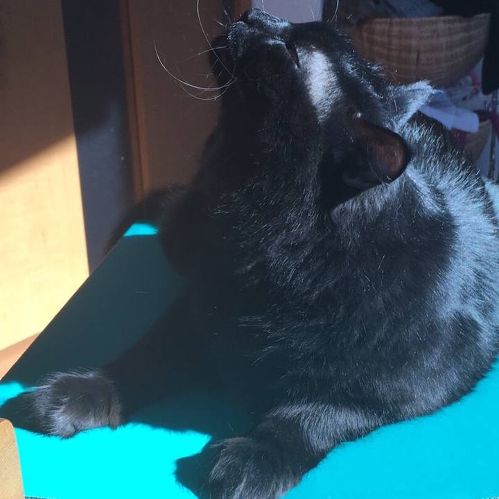 5efc8078 2465 41fe b5d4 37db881a8fb5