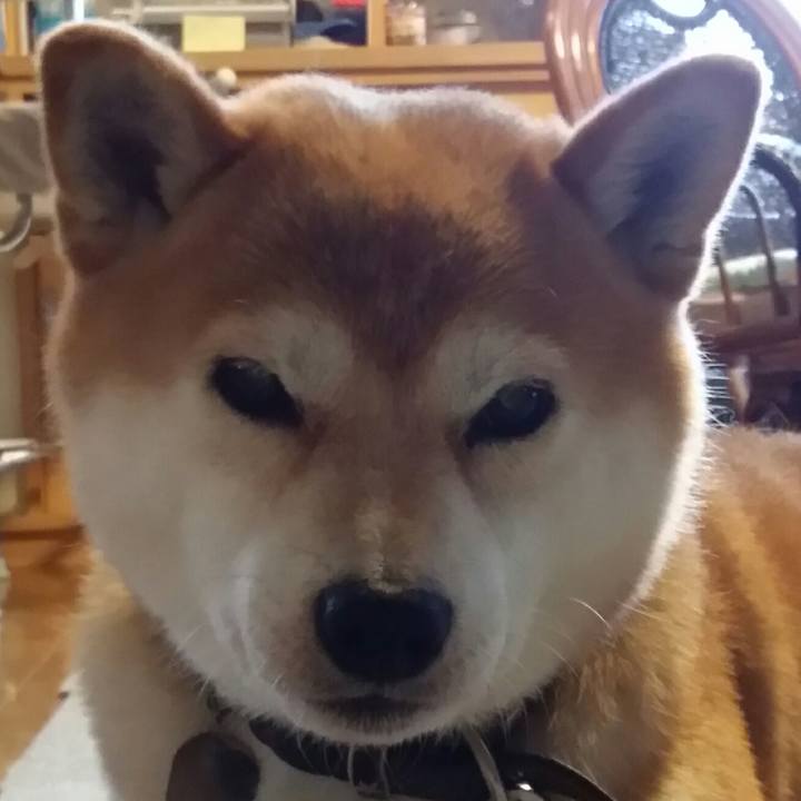 5efc8684 7705 4b12 a7bb 0ad50b347481