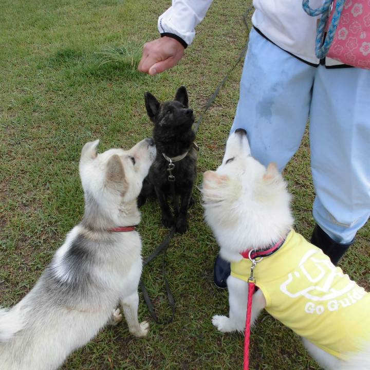 5efc9227 1730 425b be80 d91471f14a39