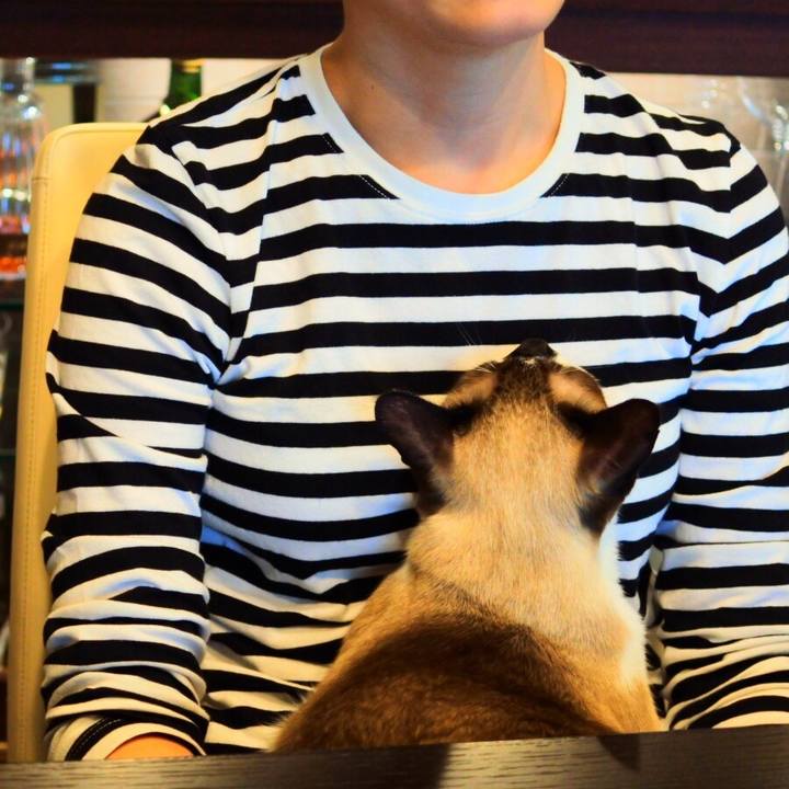 5efcfc10 23f7 4ce6 94e0 4ef1a8238114