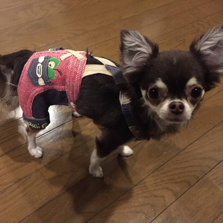 5efd1271 5c59 4993 8b22 36a86f679579