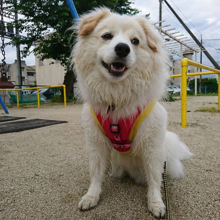 5efd3709 dd54 440b b6b0 687ed3a3265f