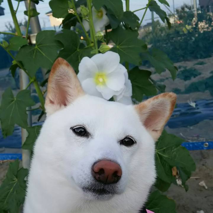 5efde4db e070 4c77 bbe2 8fbb05473109