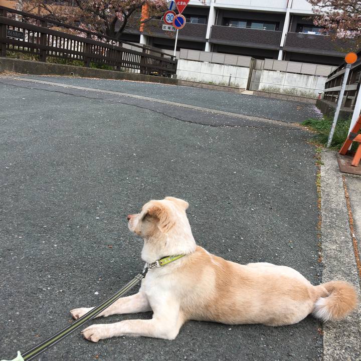 5efdebe8 372f 4998 8bf9 87e619978dfb