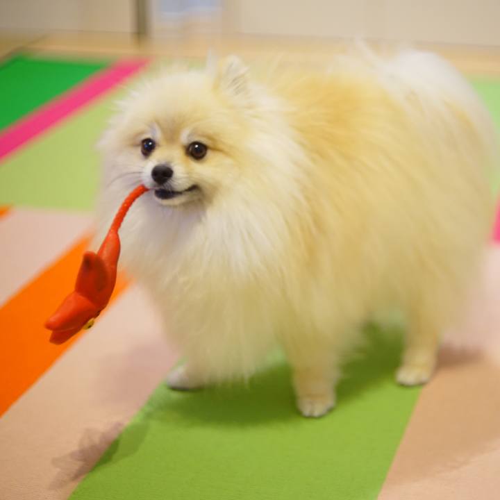 5efdf8a2 d9e5 4389 acb9 543a771f94fa