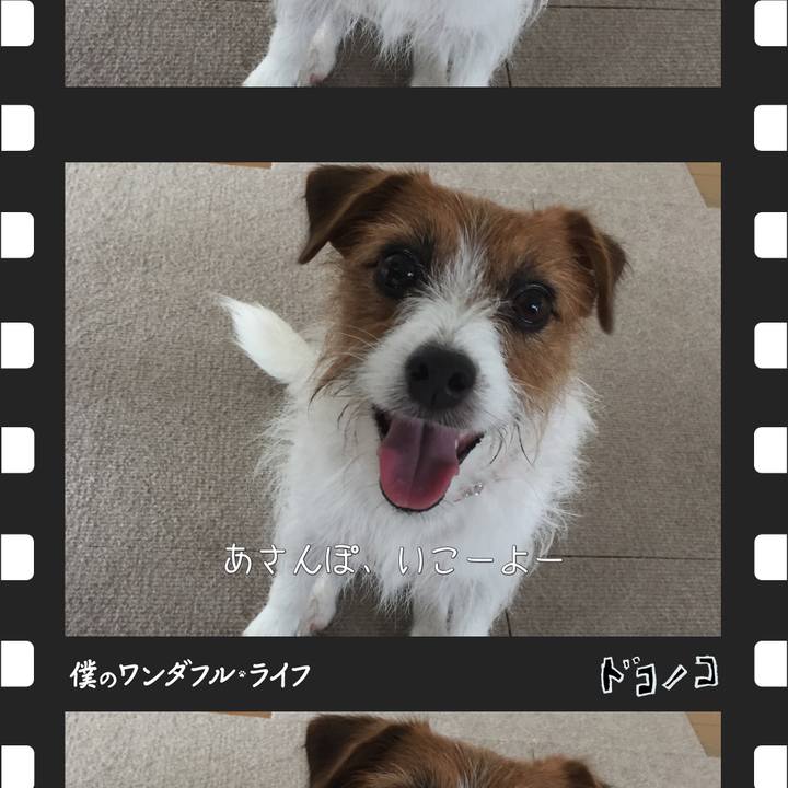 5efdfa99 a25d 4b5b 98c3 f6c45df6a6b1