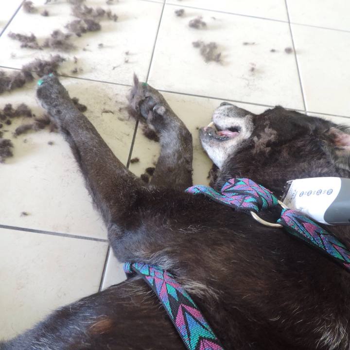 5efe115b d9d4 4915 b98d 009192fea2ba