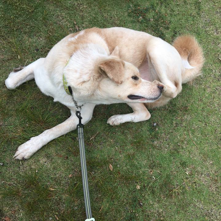 5efebeea fc31 4c95 bab1 ca6a9d20b081