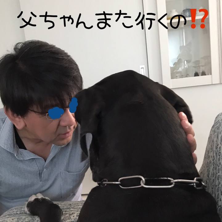 5efecf59 cdb7 4e3f 8ca4 64f98480330f