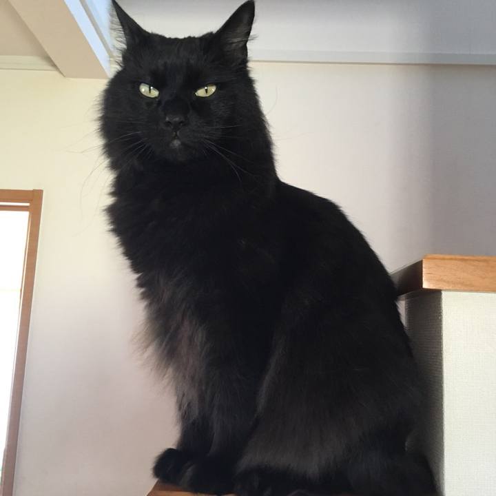 5effcaa9 14cf 4947 83a9 ef1e71964d22