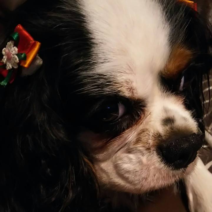 5f00d967 0126 4c29 9c57 f1c59fe103ee