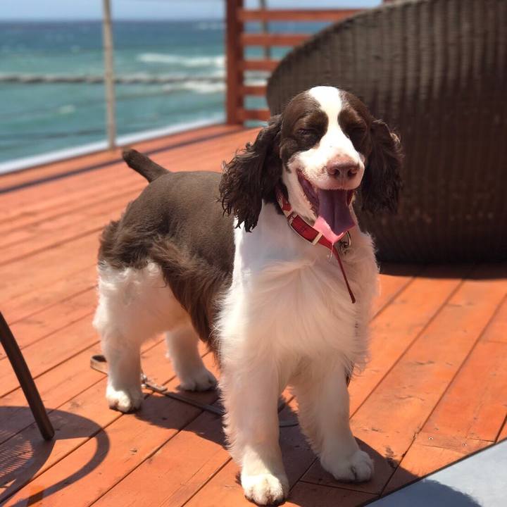 5f00f26a bd50 4857 b7ca 74f3d1832536