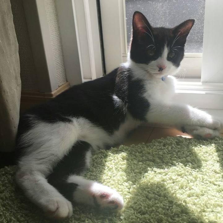 5f013648 ecfc 406a 9dad 7ddbb30169e9