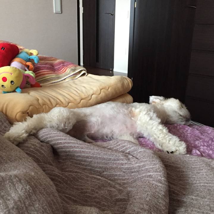 5f015059 3135 471b a44d 00acb0866fc7