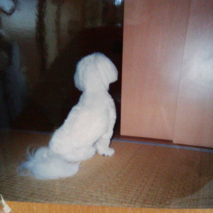 5f018a7f d6c2 4e74 a633 bc85858727bd