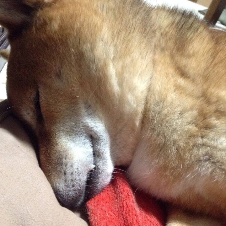 5f019e9a d8b4 4c1f 8974 bf44886fa26d