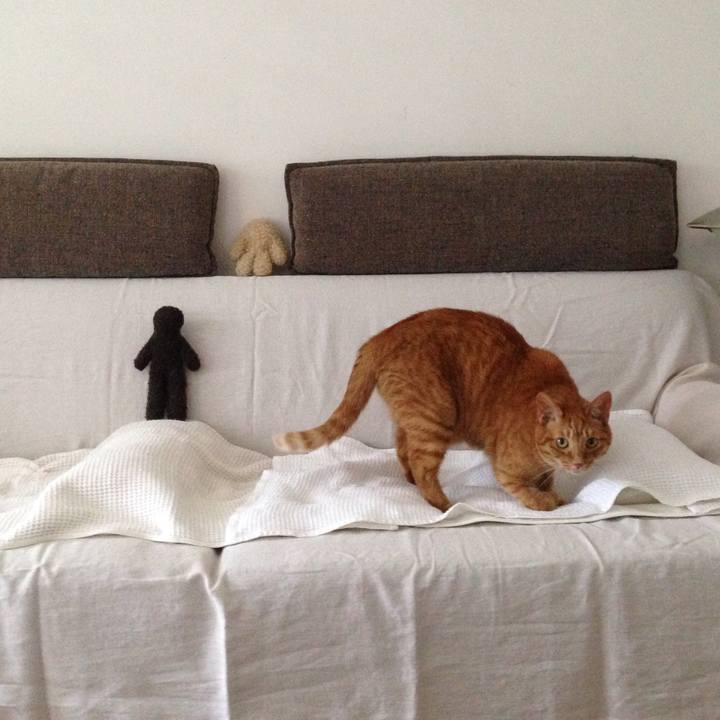 5f0249bc 6474 4fbf a060 374466e6b6a0