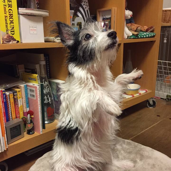 5f0283e8 b0b6 4b71 8ac8 3bbf43515a2b