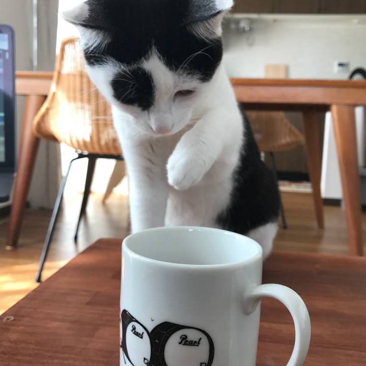 5f029612 e259 4e0d 9191 722e7be7fa6b