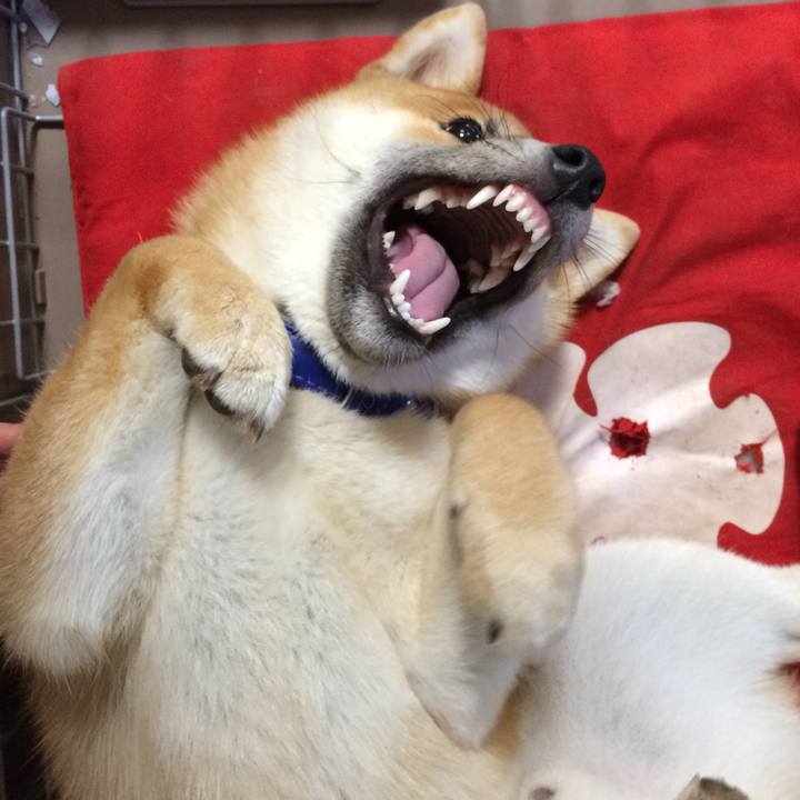 5f02a69a f53e 4734 a79a a912dcdb5d03