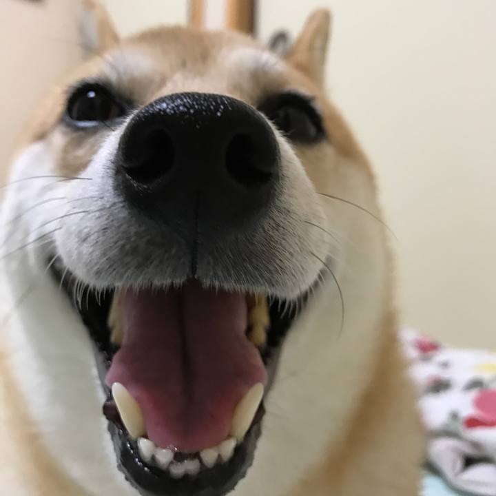 5f038e7e 78f1 481a 9e68 53965efe1214