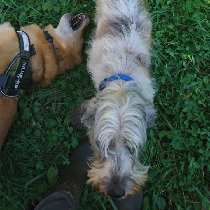 5f03c492 27c0 4821 903c b8643d17b1ce