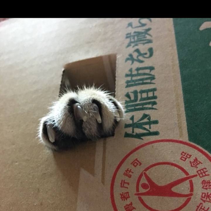 5f03c889 21bd 4e02 bdc5 95baa6add78e