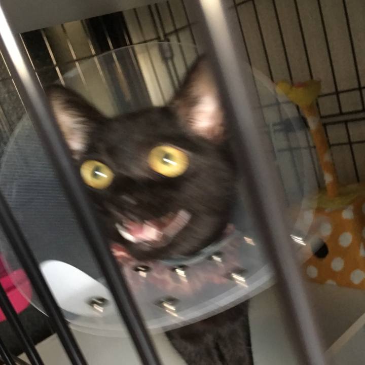 5f03d83c 572e 47dc 8322 f030b5addf82