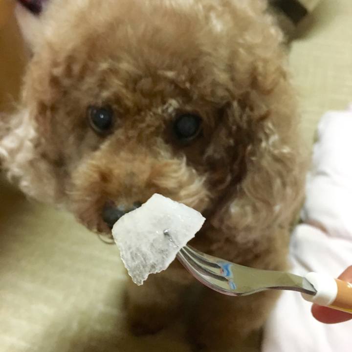 5f05470b efab 4a97 9107 63a0151f0de8