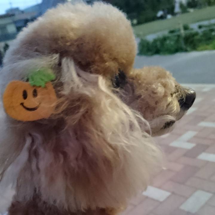 5f05d0e2 350b 42af 8fa5 a276468cf8ff