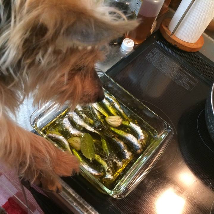 5f071e08 88d1 478d b8ab e732d91ed9a3