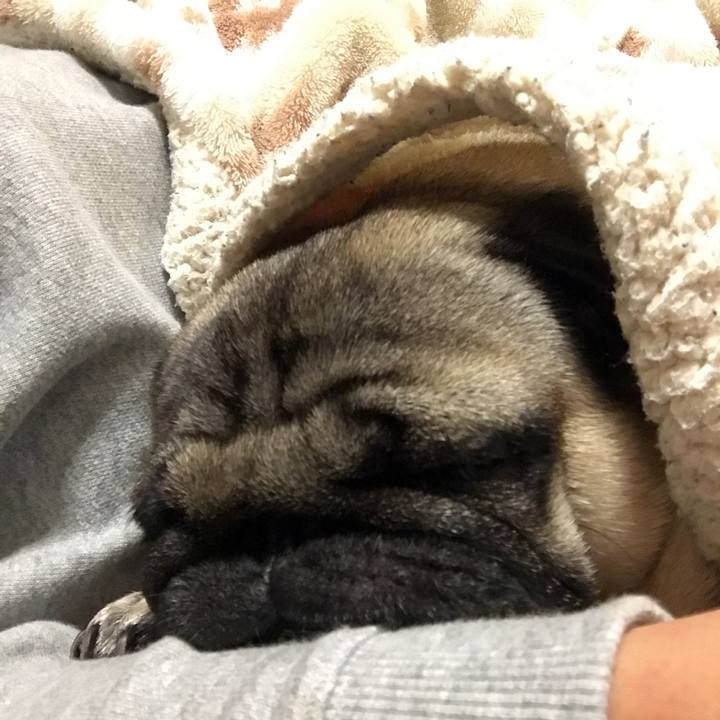 5f07fa0a 9eb3 4dac b9f4 fbdb2d5f4a8a