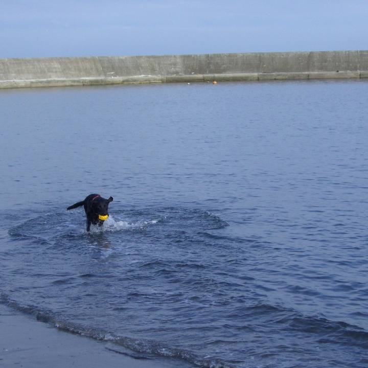 5f088e75 e007 4646 a342 4d6c54fb6d11