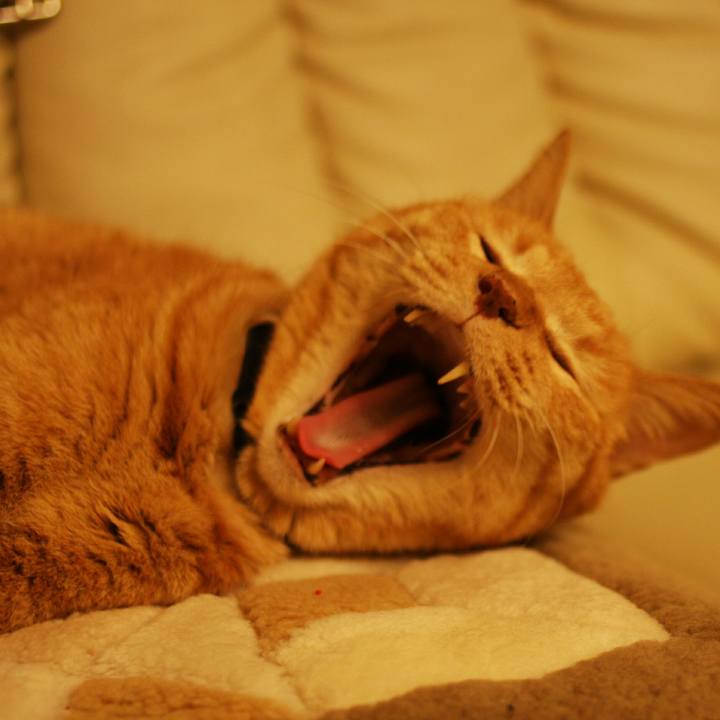 5f0937fc 389d 4228 aca3 a118c6e3411e