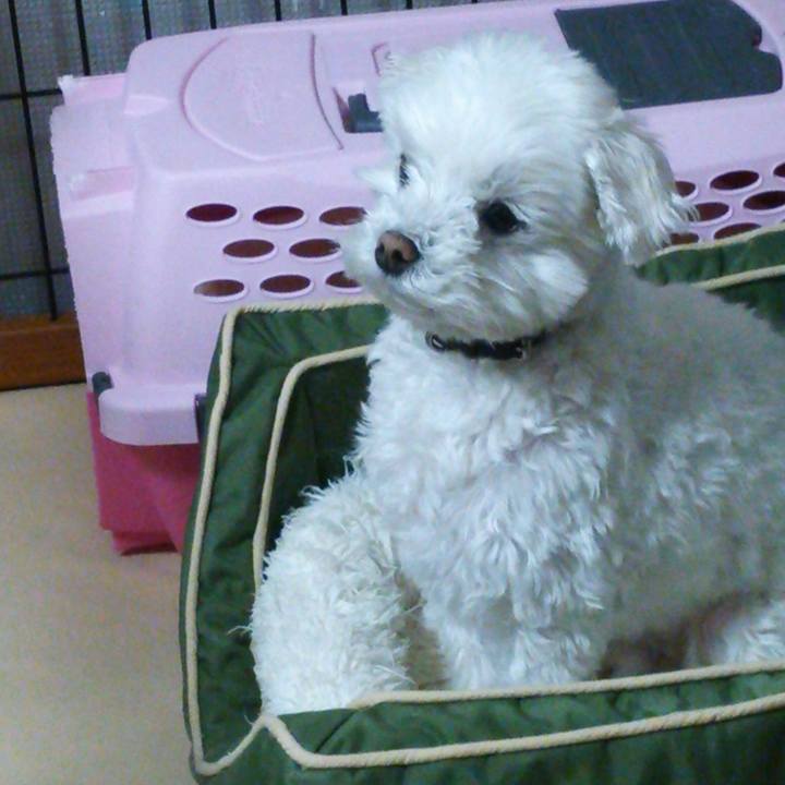 5f0a5aa3 2b03 4944 ab65 b403aaf9d76c