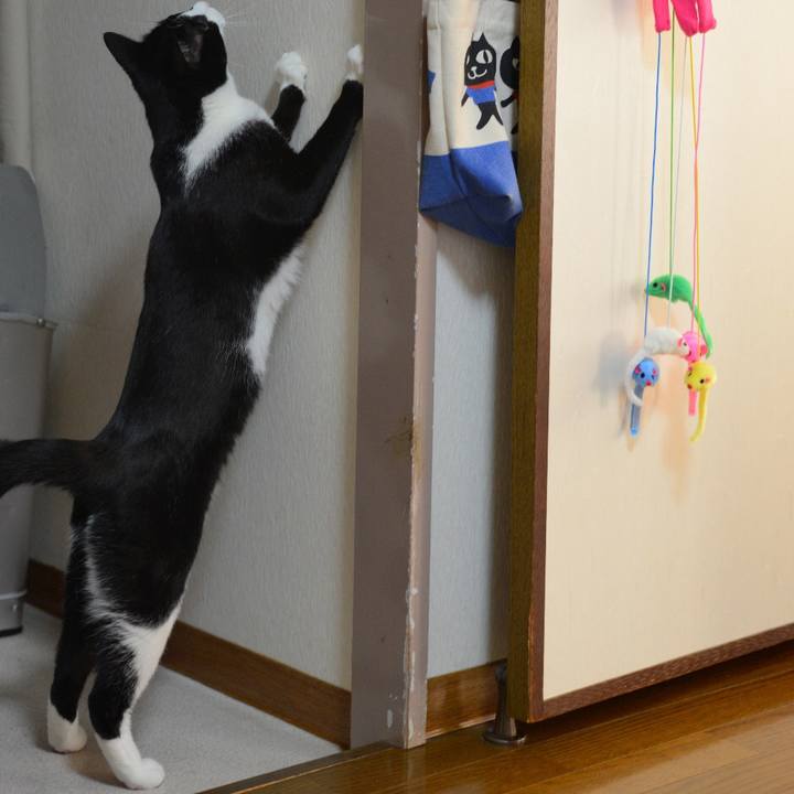 5f0a8cf7 628c 40d3 b7e0 04a582ef3a18