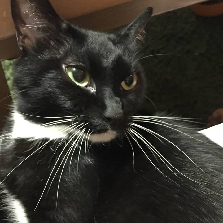 5f0aaf64 6e6e 41d4 9e3c d3942caecc30