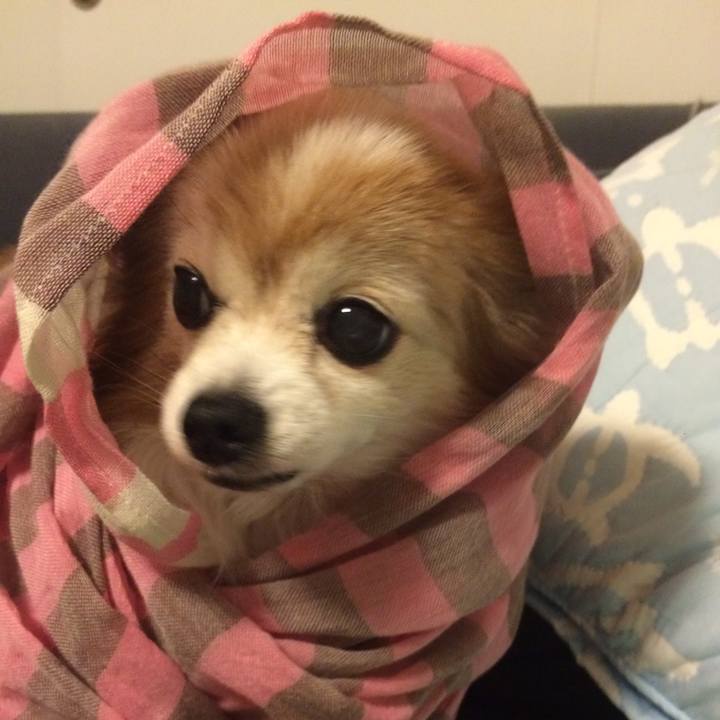 5f0ac772 6d61 4c4a 8327 5e382ea4dadb