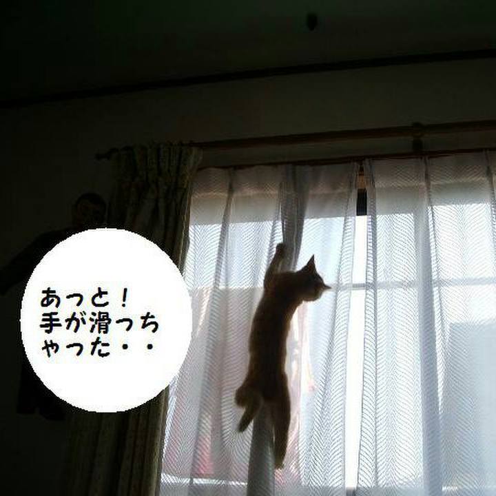 5f0b6349 a787 4a53 8338 50605b627b88