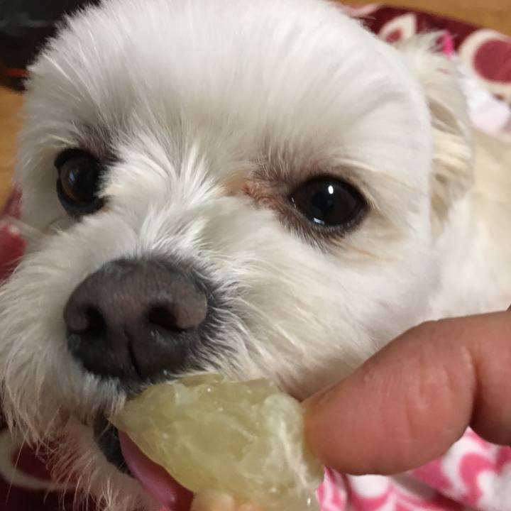 5f0ca401 e96c 4746 b353 1b666312ed4b