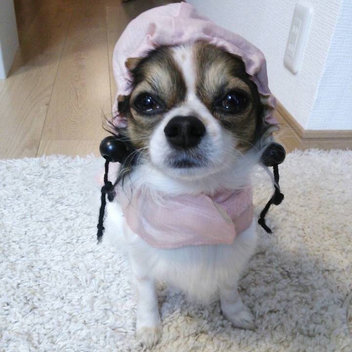 5f0ce070 1cef 4f14 b9aa 99a49bfc17f7