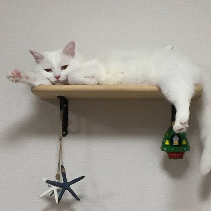 5f0da179 983a 4069 a86e d5f7c45cd638