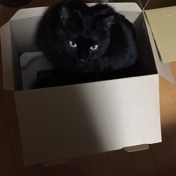 5f0dc4fe ce0f 43d2 ab80 f25aa01aaa94