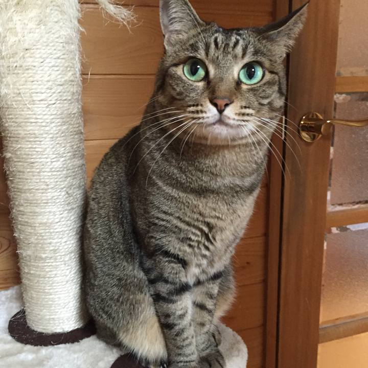 5f0dda5f 54e5 403d 91b9 b9e27ae134f3