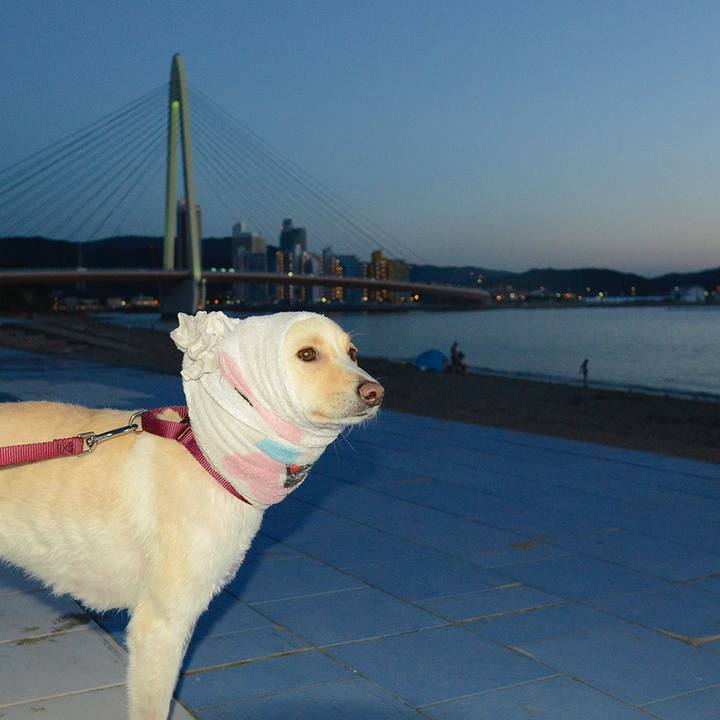 5f0e8332 473a 4dd5 bf4a 2bc9f978c9ff